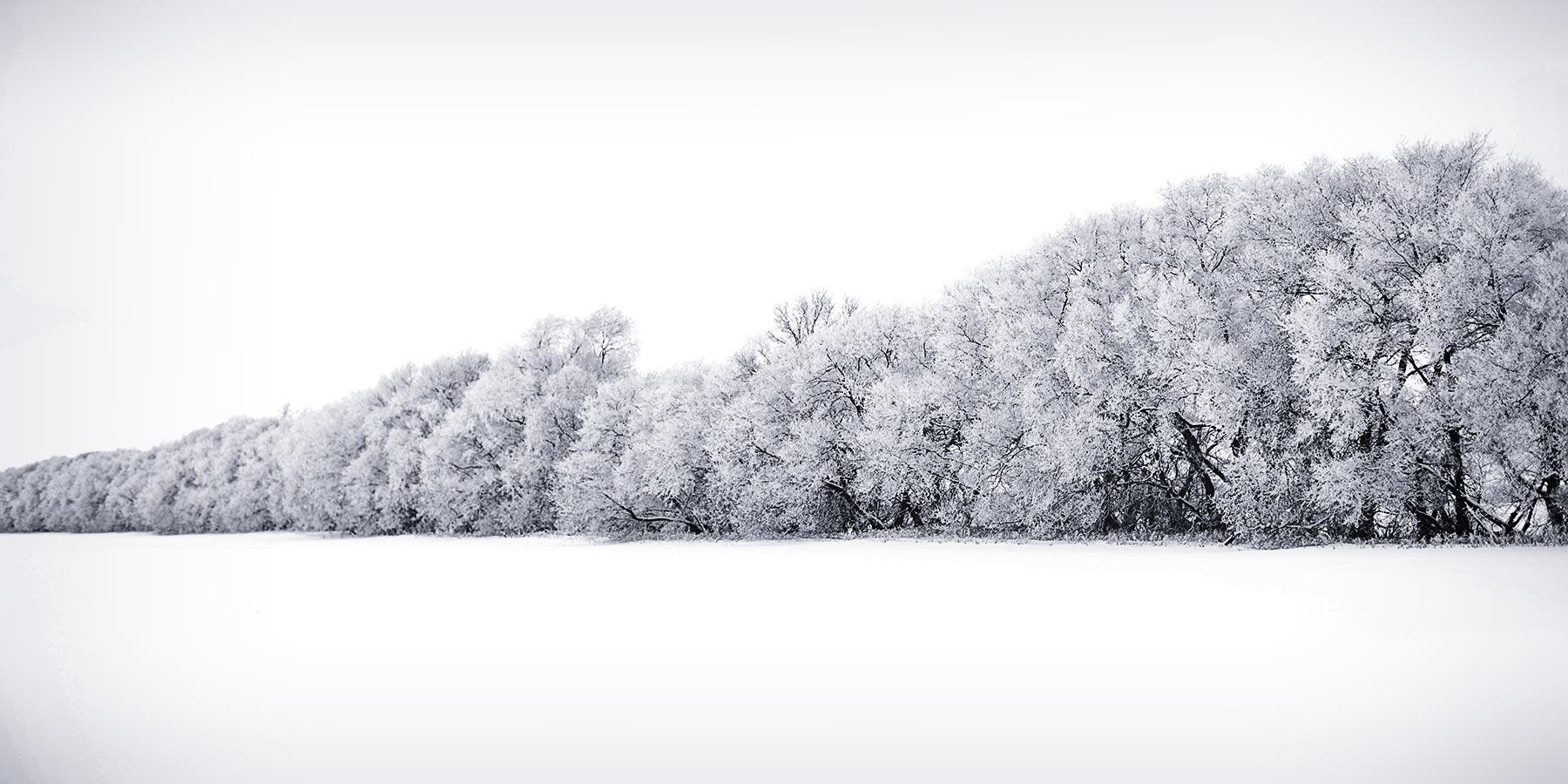 You don't drive backwards through a snowy field...